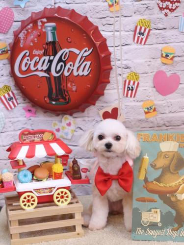 20230907シェリーちゃん